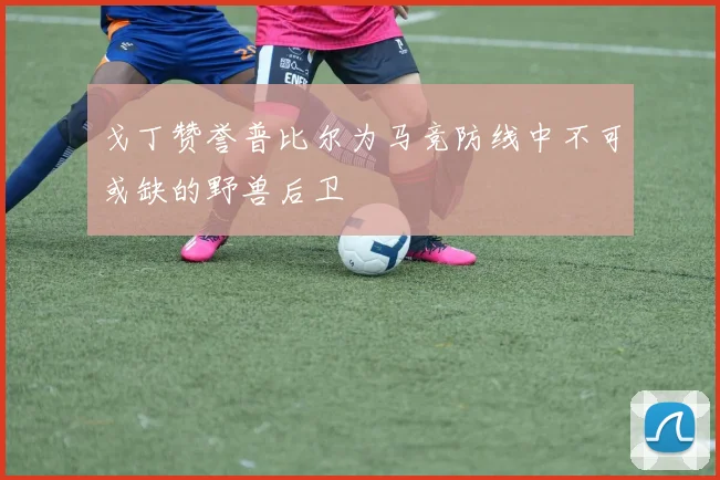 戈丁赞誉普比尔为马竞防线中不可或缺的野兽后卫